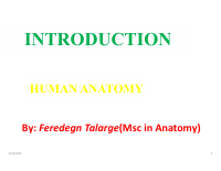 introduction to human anatomy.pdf